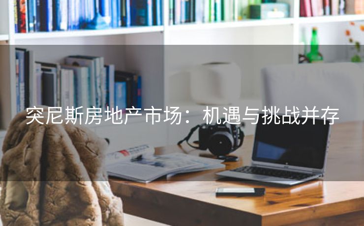 突尼斯房地产市场：机遇与挑战并存