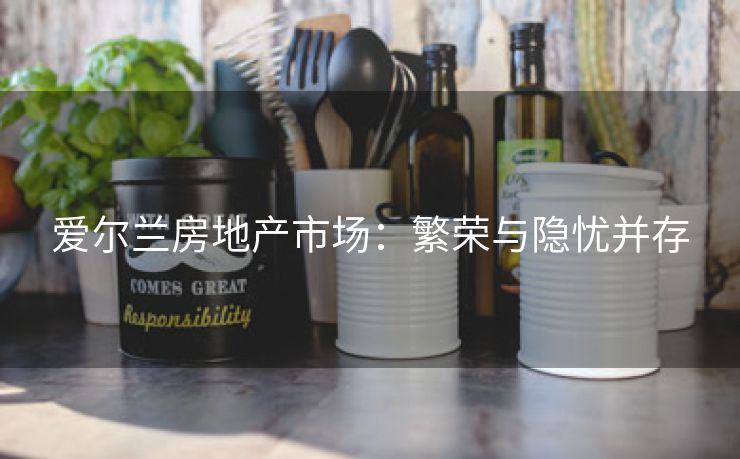 爱尔兰房地产市场：繁荣与隐忧并存