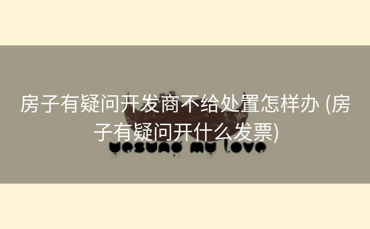 房子有疑问开发商不给处置怎样办 (房子有疑问开什么发票)