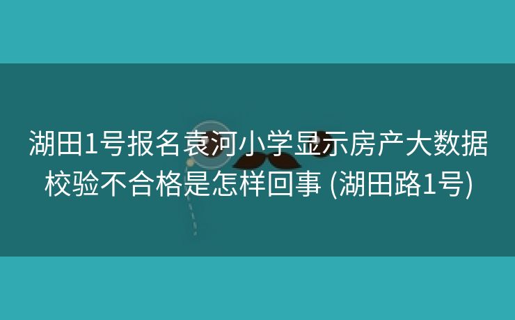 湖田1号报名袁河小学显示房产大数据校验不合格是怎样回事 (湖田路1号)
