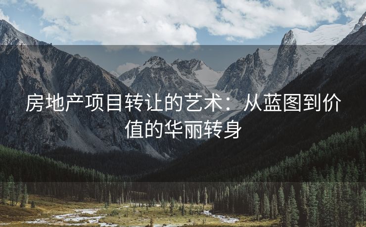 房地产项目转让的艺术：从蓝图到价值的华丽转身