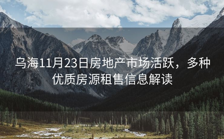 乌海11月23日房地产市场活跃，多种优质房源租售信息解读