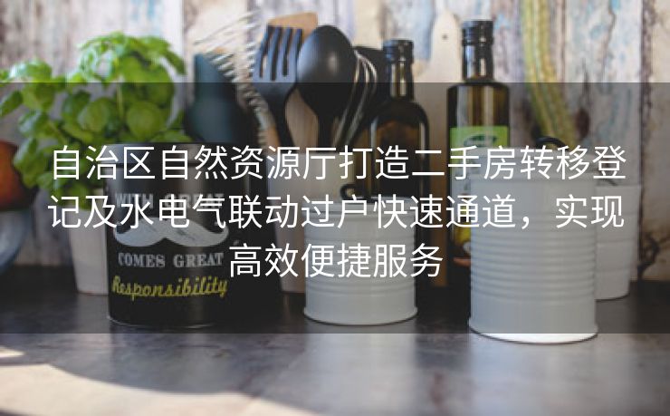 自治区自然资源厅打造二手房转移登记及水电气联动过户快速通道,实现高效便捷服务 自治区自然资源厅打造二手房转移登记及水电气联动过户快速通道,实现高效便捷服务