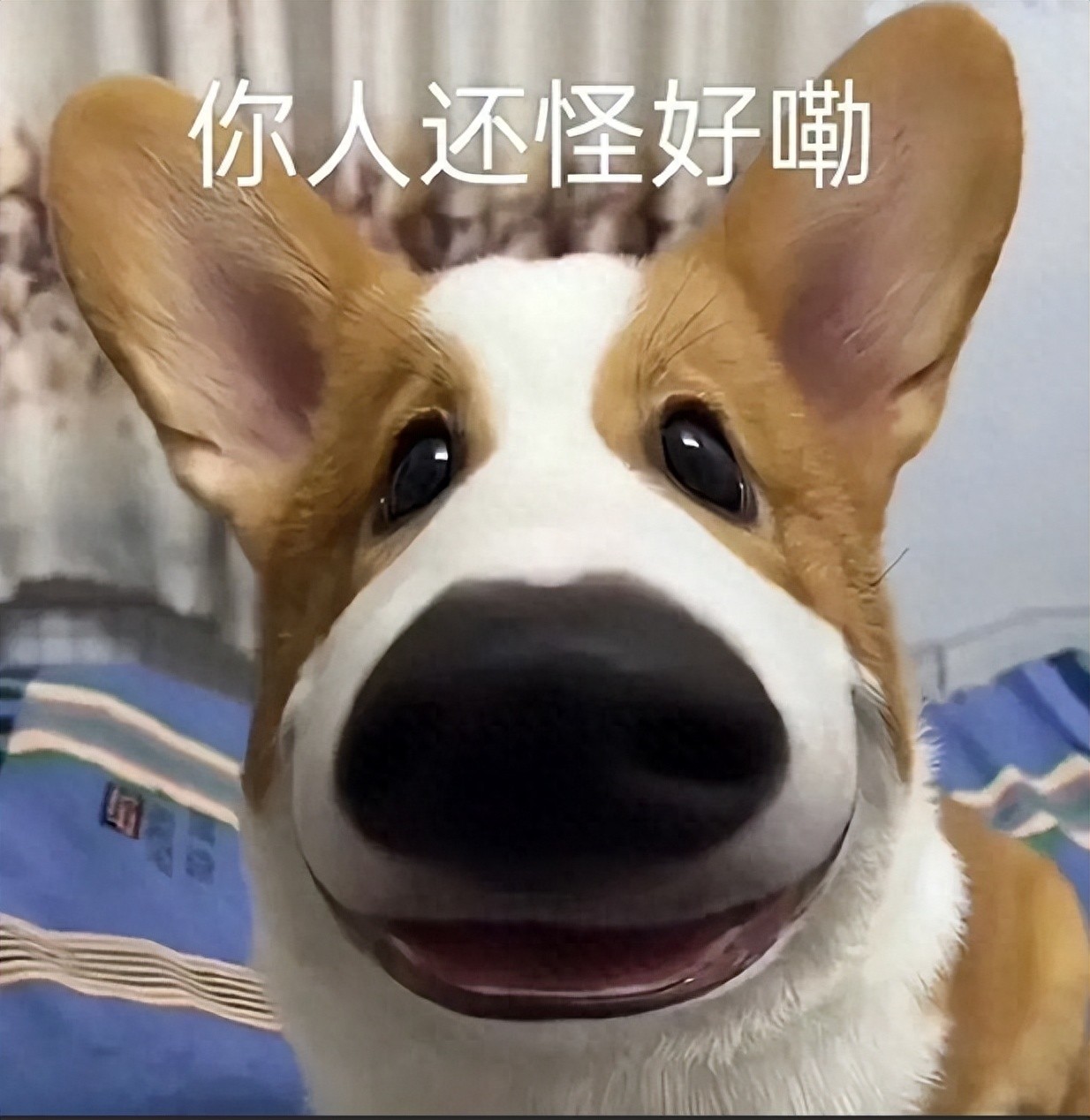 求租信息_求租信息如何写的精彩_信息求租房