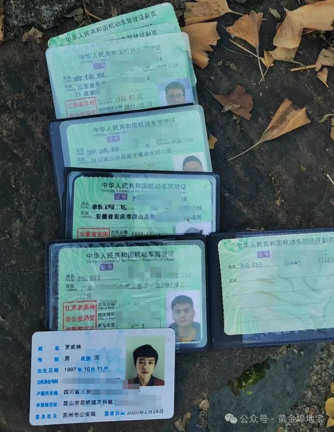 出租出售_出租出售房屋广告怎么写_出租出售出借银行账户法律责任