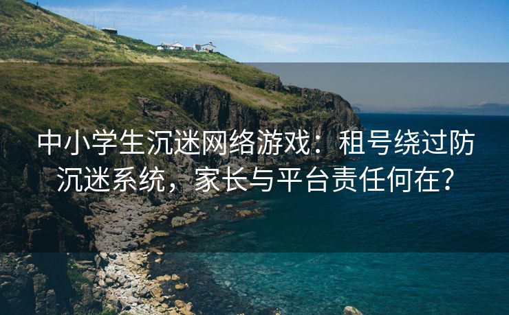 中小学生沉迷网络游戏：租号绕过防沉迷系统，家长与平台责任何在？