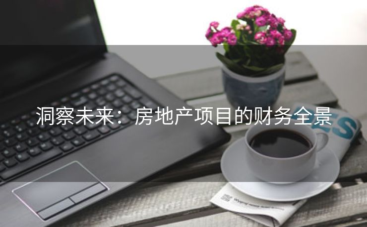洞察未来：房地产项目的财务全景