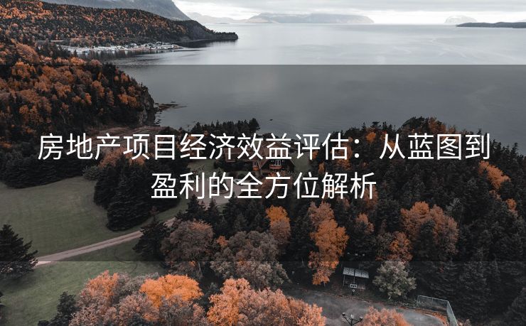房地产项目经济效益评估：从蓝图到盈利的全方位解析