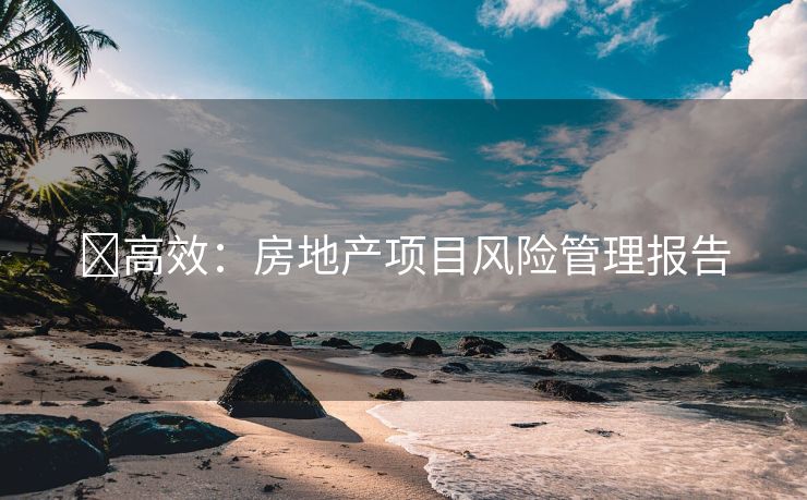 �高效：房地产项目风险管理报告