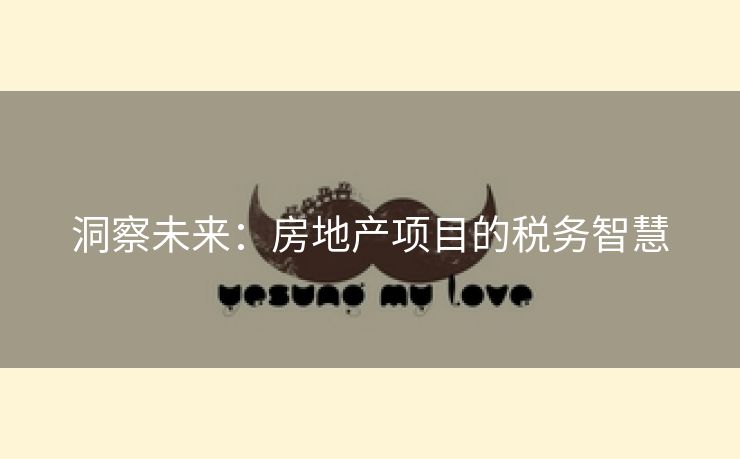 洞察未来：房地产项目的税务智慧