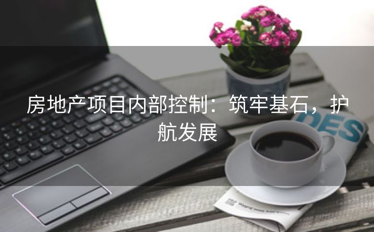 房地产项目内部控制：筑牢基石，护航发展