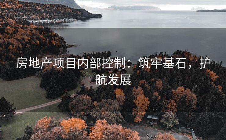 房地产项目内部控制：筑牢基石，护航发展