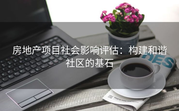 房地产项目社会影响评估：构建和谐社区的基石