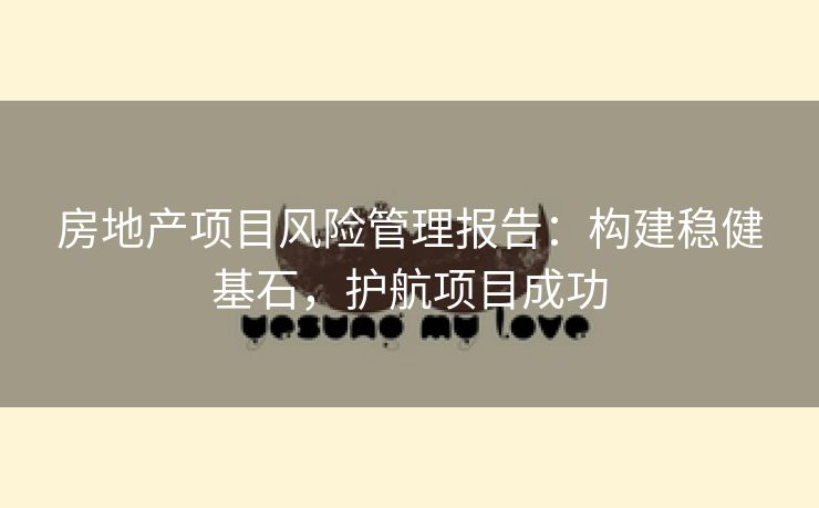 房地产项目风险管理报告：构建稳健基石，护航项目成功