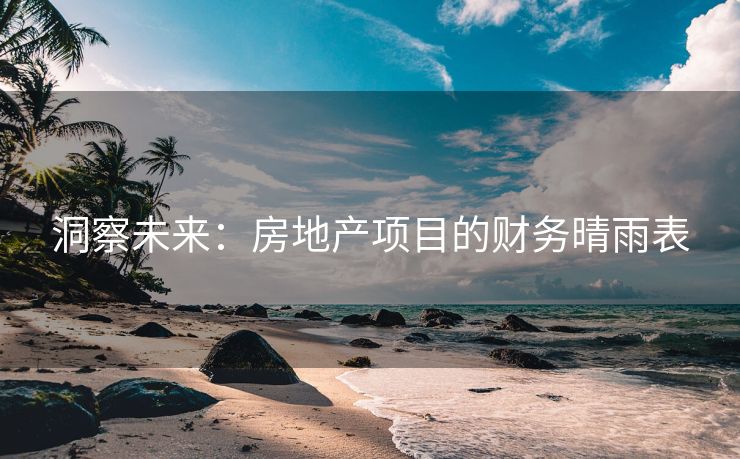 洞察未来：房地产项目的财务晴雨表