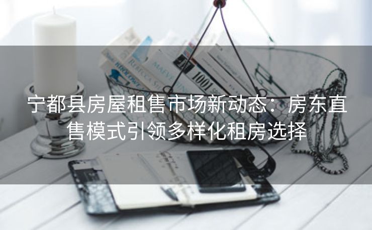 宁都县房屋租售市场新动态：房东直售模式引领多样化租房选择