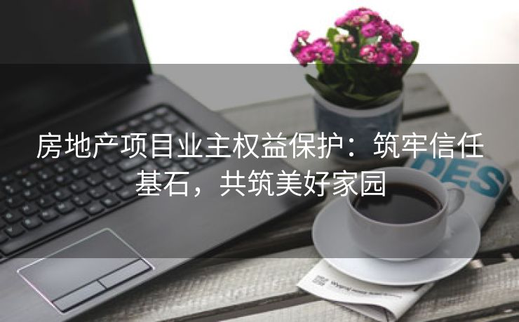 房地产项目业主权益保护：筑牢信任基石，共筑美好家园
