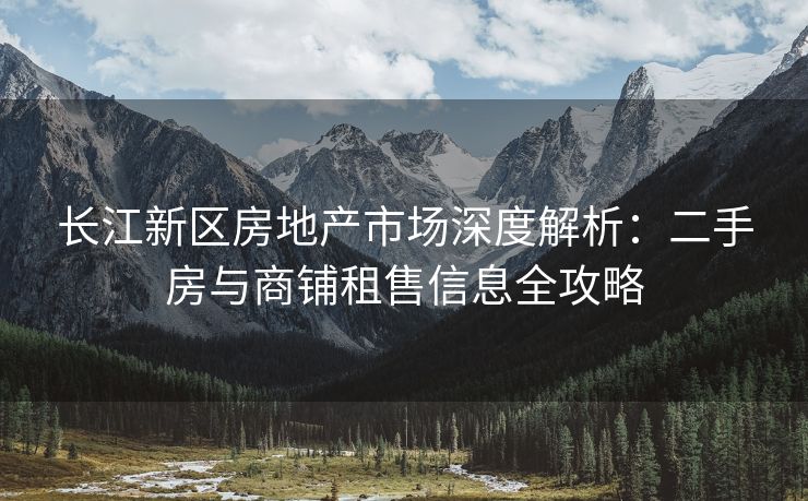 长江新区房地产市场深度解析：二手房与商铺租售信息全攻略