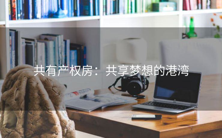 共有产权房：共享梦想的港湾