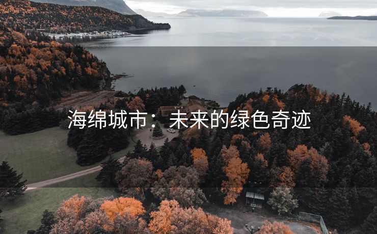 海绵城市：未来的绿色奇迹