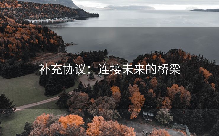 补充协议：连接未来的桥梁