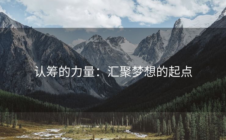 认筹的力量：汇聚梦想的起点