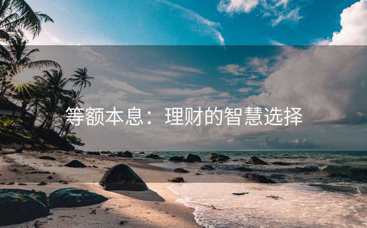 等额本息：理财的智慧选择