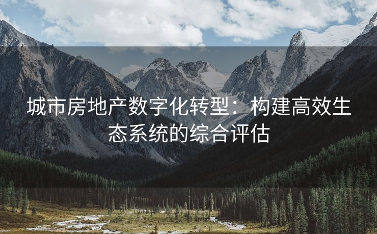 城市房地产数字化转型：构建高效生态系统的综合评估