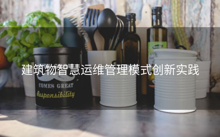建筑物智慧运维管理模式创新实践