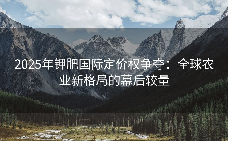 2025年钾肥国际定价权争夺：全球农业新格局的幕后较量