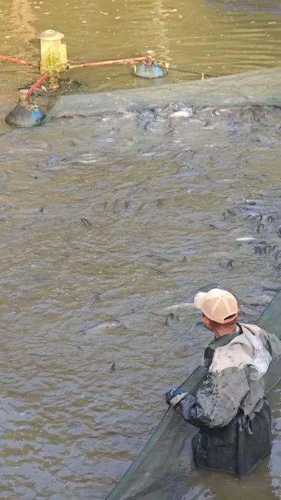 出租信息图片大全_出租信息怎么打印_出租信息