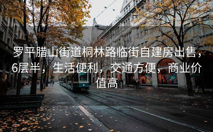 罗平腊山街道桐林路临街自建房出售，6层半，生活便利，交通方便，商业价值高