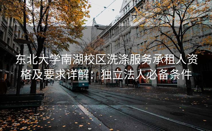 东北大学南湖校区洗涤服务承租人资格及要求详解：独立法人必备条件
