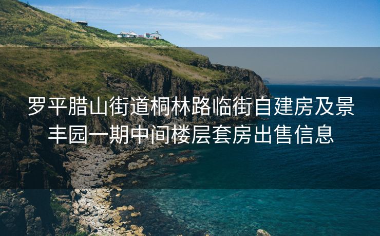罗平腊山街道桐林路临街自建房及景丰园一期中间楼层套房出售信息