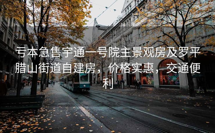 亏本急售宇通一号院主景观房及罗平腊山街道自建房，价格实惠，交通便利