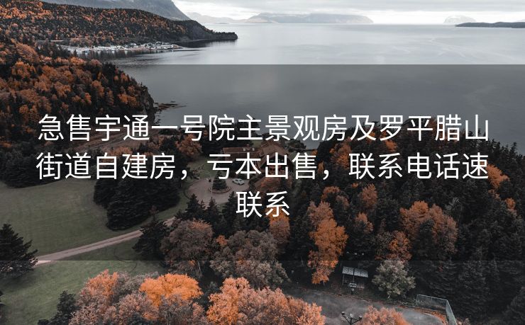 急售宇通一号院主景观房及罗平腊山街道自建房，亏本出售，联系电话速联系