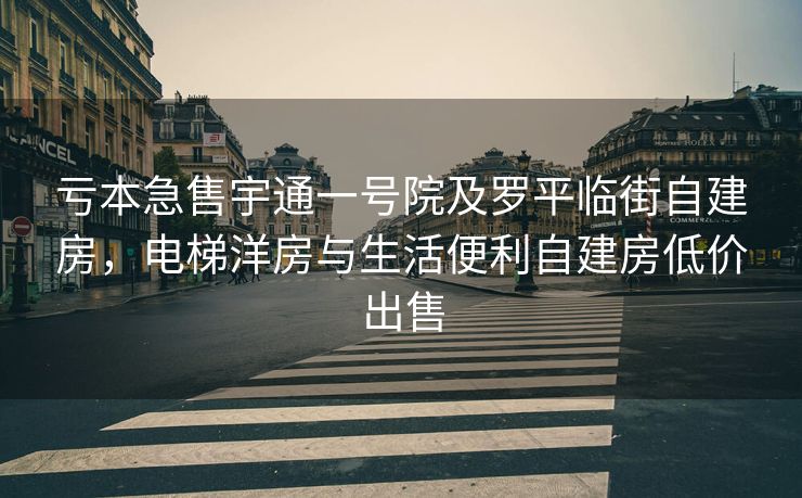 亏本急售宇通一号院及罗平临街自建房，电梯洋房与生活便利自建房低价出售