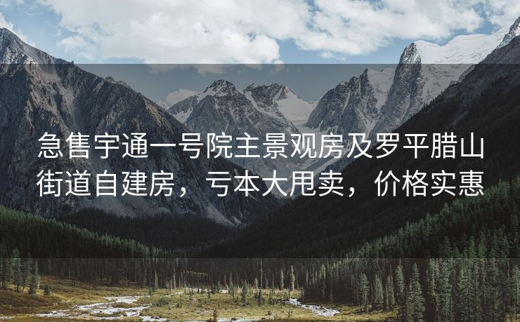 急售宇通一号院主景观房及罗平腊山街道自建房，亏本大甩卖，价格实惠