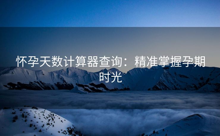 怀孕天数计算器查询：精准掌握孕期时光