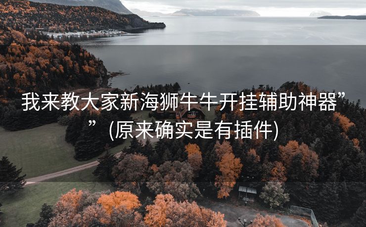 我来教大家新海狮牛牛开挂辅助神器””(原来确实是有插件)