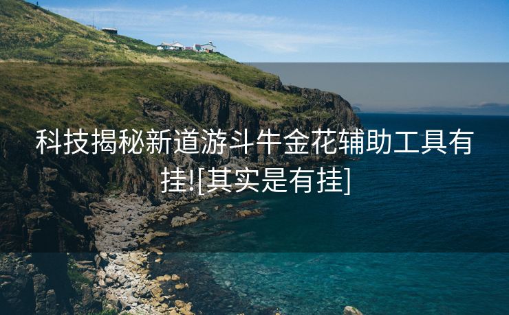 科技揭秘新道游斗牛金花辅助工具有挂![其实是有挂]