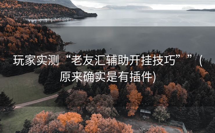 玩家实测“老友汇辅助开挂技巧””(原来确实是有插件)