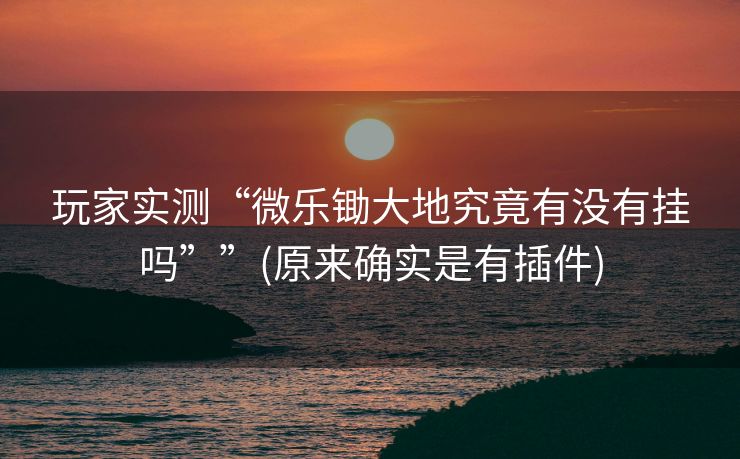 玩家实测“微乐锄大地究竟有没有挂吗””(原来确实是有插件)