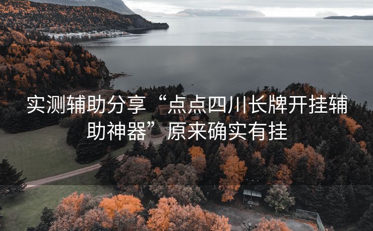 实测辅助分享“点点四川长牌开挂辅助神器”原来确实有挂