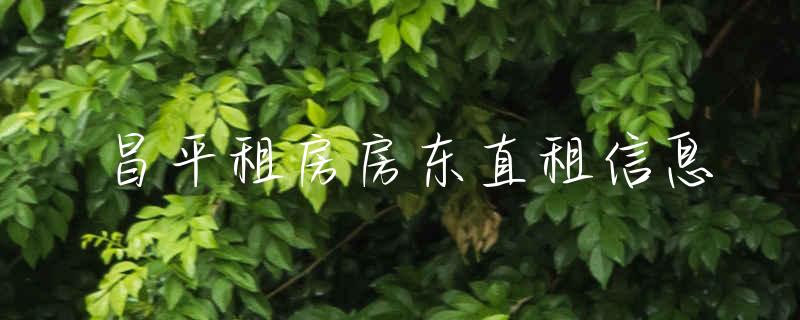 直租平台_直租信息_直租联盟