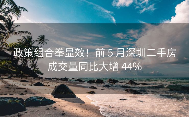 政策组合拳显效！前 5 月深圳二手房成交量同比大增 44%