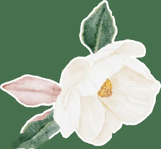 北京大学生租房指南_租房信息_毕业季租房攻略