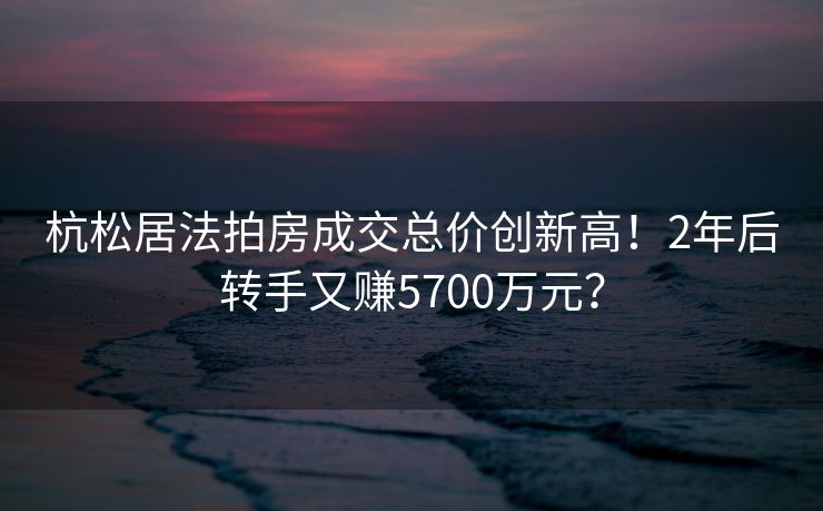 杭松居法拍房成交总价创新高！2年后转手又赚5700万元？