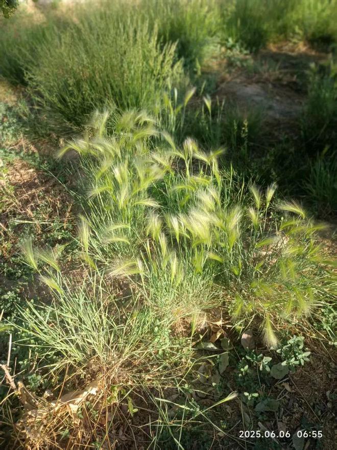 租售信息发布平台有哪些_租售信息_租售信息图片大全