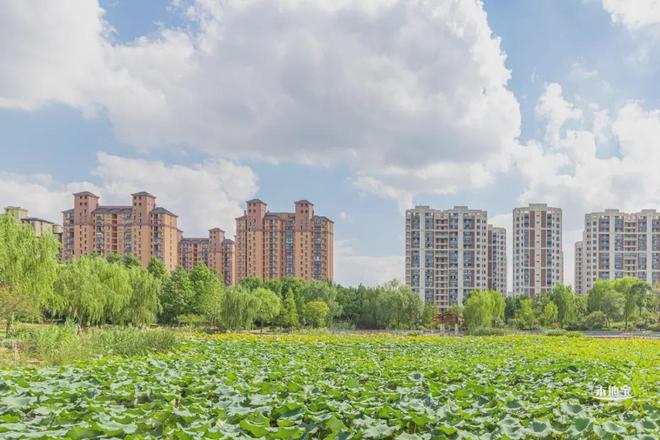 深圳公租房申请时间_租房信息_深圳保障房最新信息